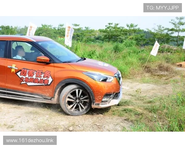 阿诺车队激情越野直播，挑战极限路况全程高能